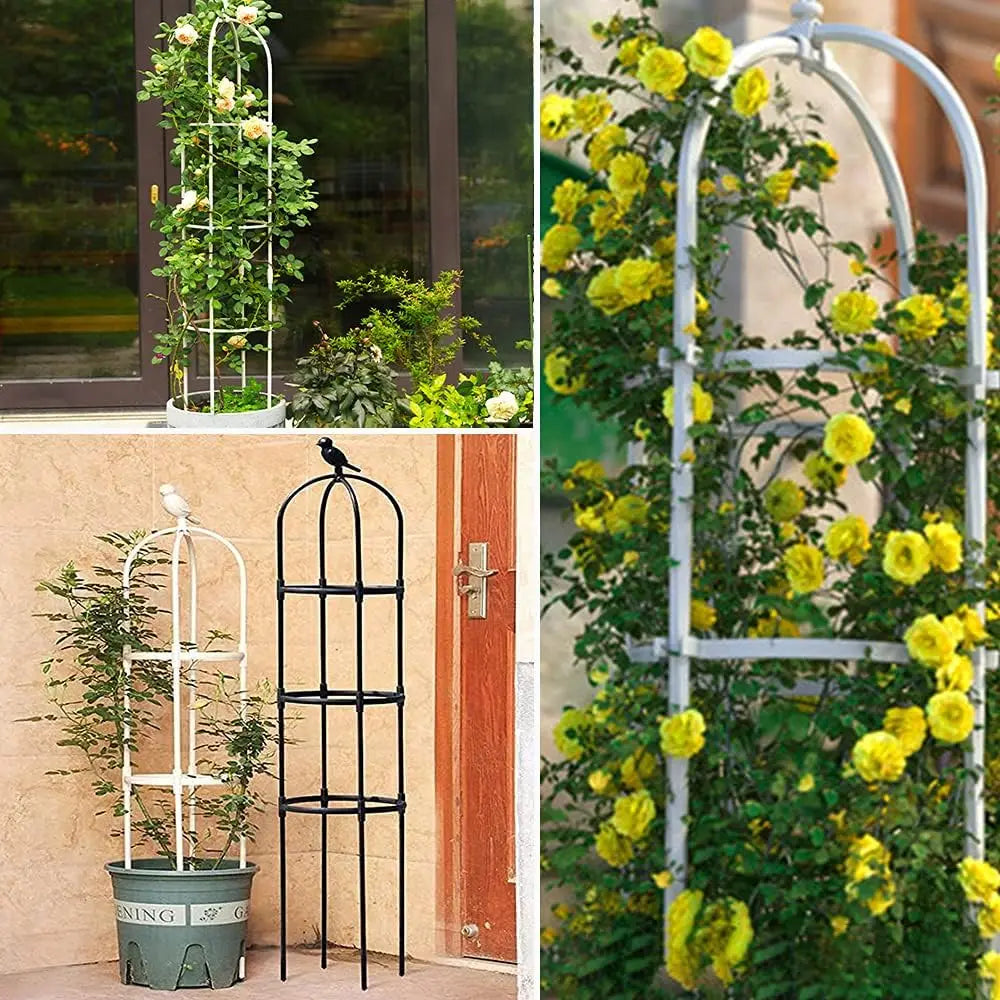 6ft Garden Obelisk Trellis for Climbing Plants-