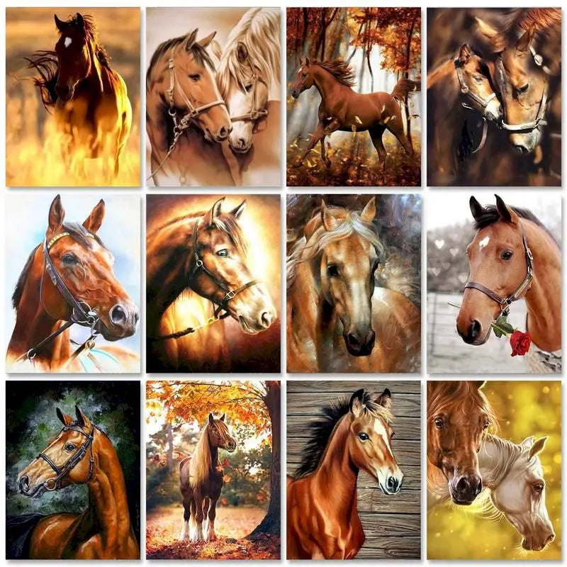 Diy oil Painting By Numbers Horse  Acrylic Paint On Canvas