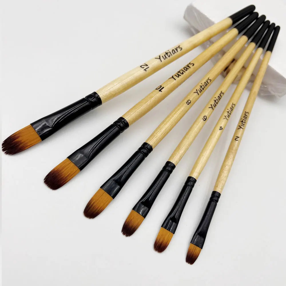 Professional Artist Paint Brush Set - 6 PCS,