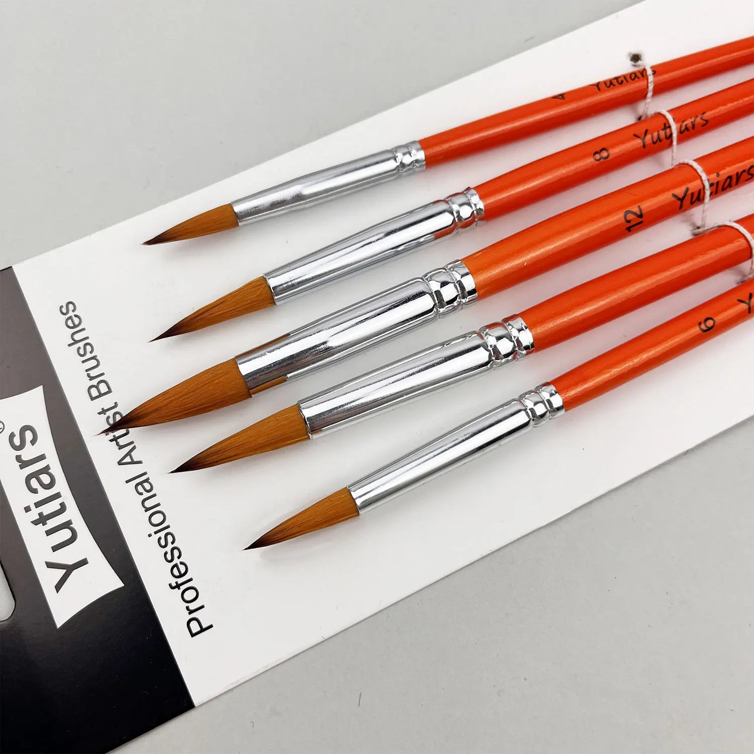 Professional Artist Paint Brush Set - 6 PCS,