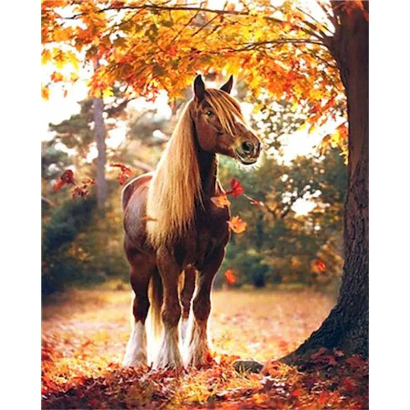 Diy oil Painting By Numbers Horse  Acrylic Paint On Canvas