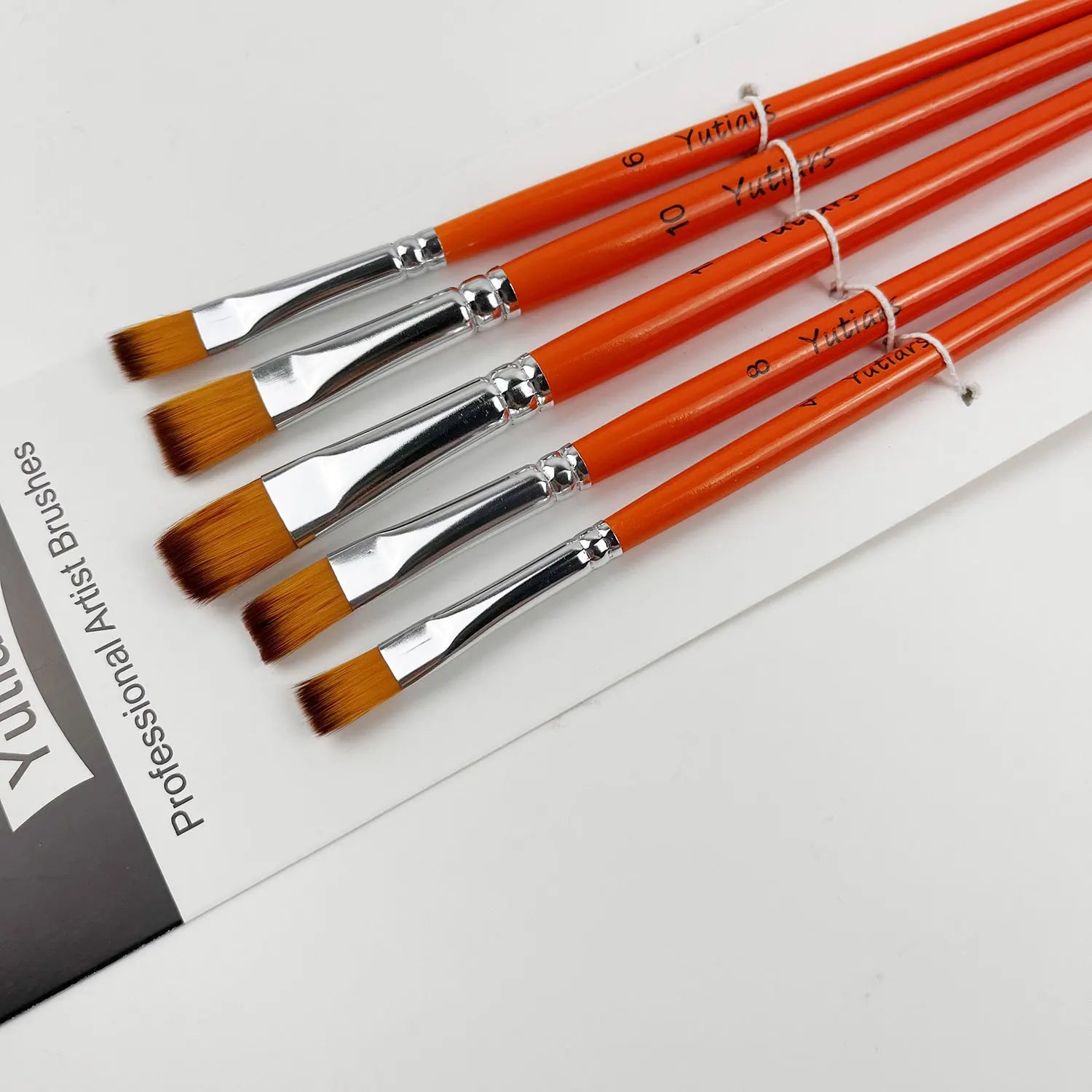 Professional Artist Paint Brush Set - 6 PCS,