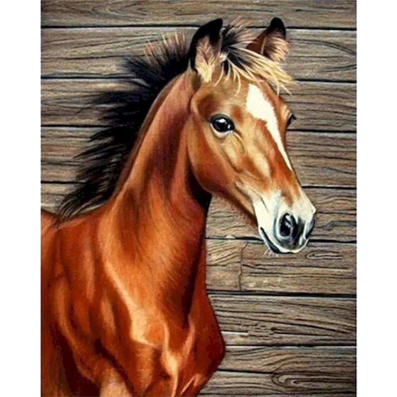 Diy oil Painting By Numbers Horse  Acrylic Paint On Canvas