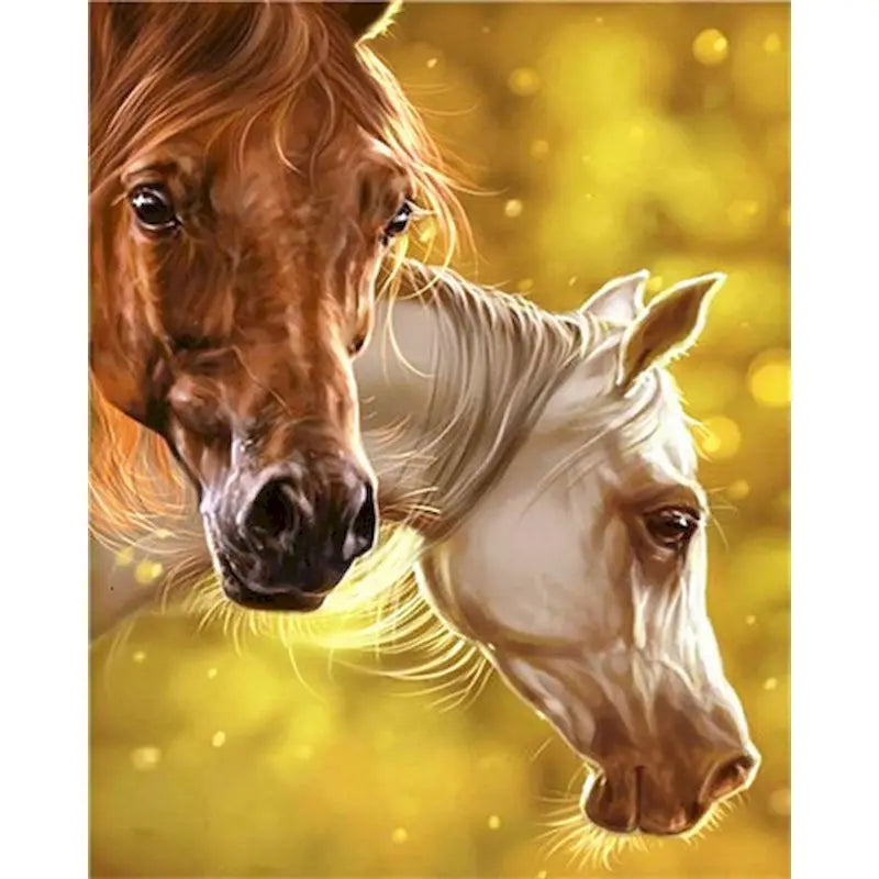 Diy oil Painting By Numbers Horse  Acrylic Paint On Canvas