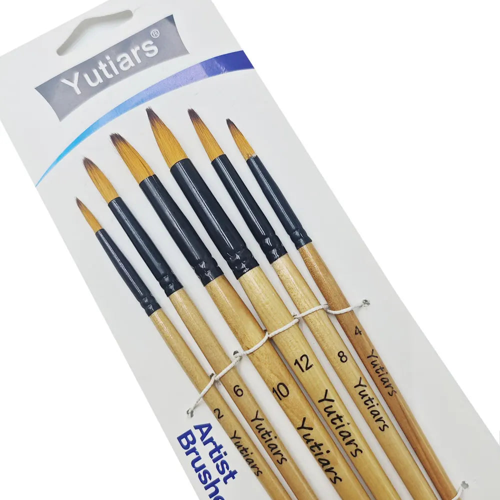 Professional Artist Paint Brush Set - 6 PCS,
