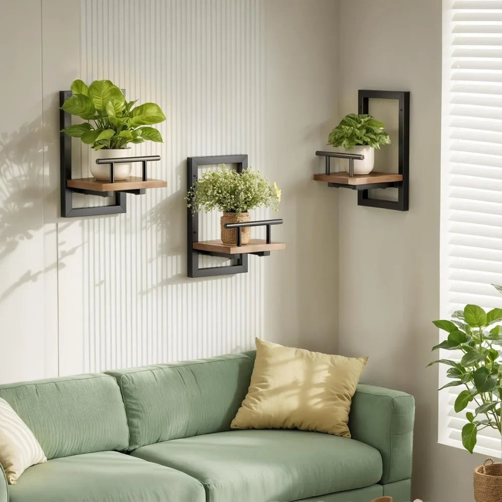 Floating Wall Shelves for Plants and Decor,