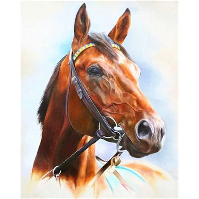 Diy oil Painting By Numbers Horse  Acrylic Paint On Canvas