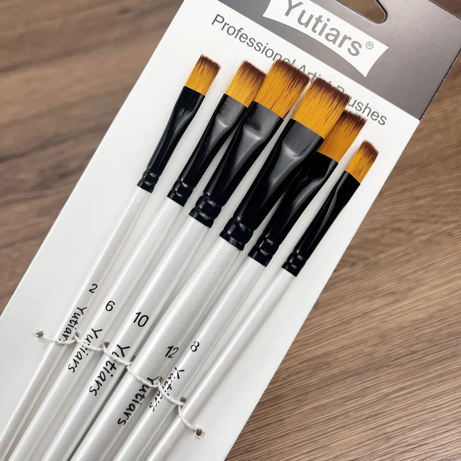 Professional Artist Paint Brush Set - 6 PCS,