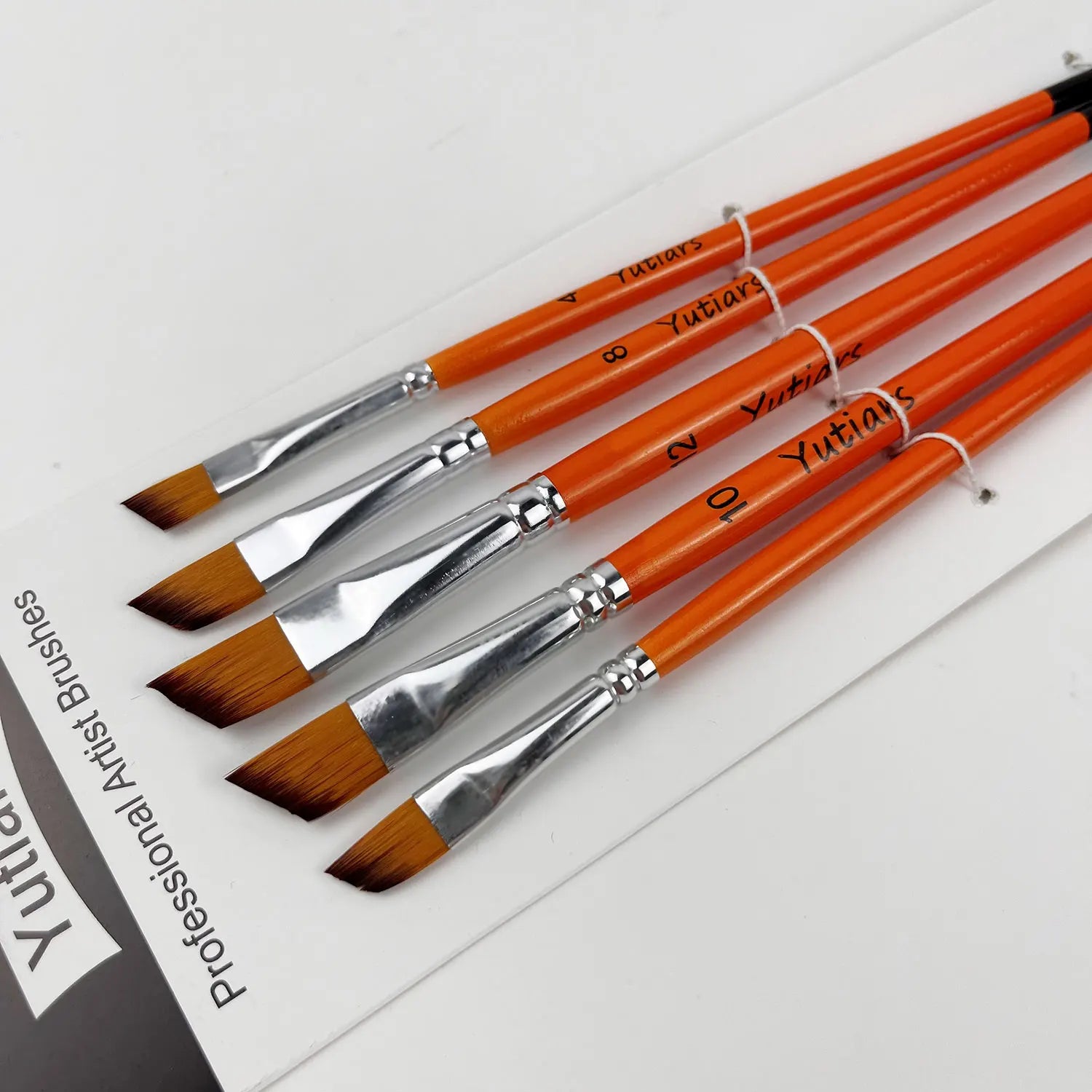 Professional Artist Paint Brush Set - 6 PCS,