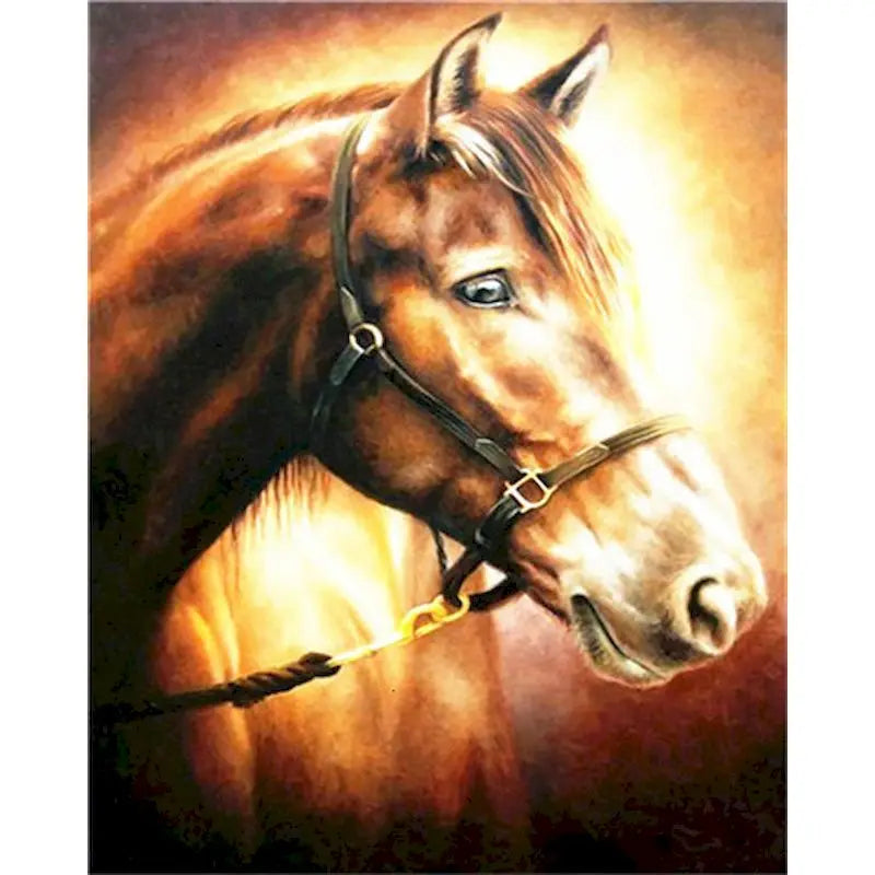 Diy oil Painting By Numbers Horse  Acrylic Paint On Canvas
