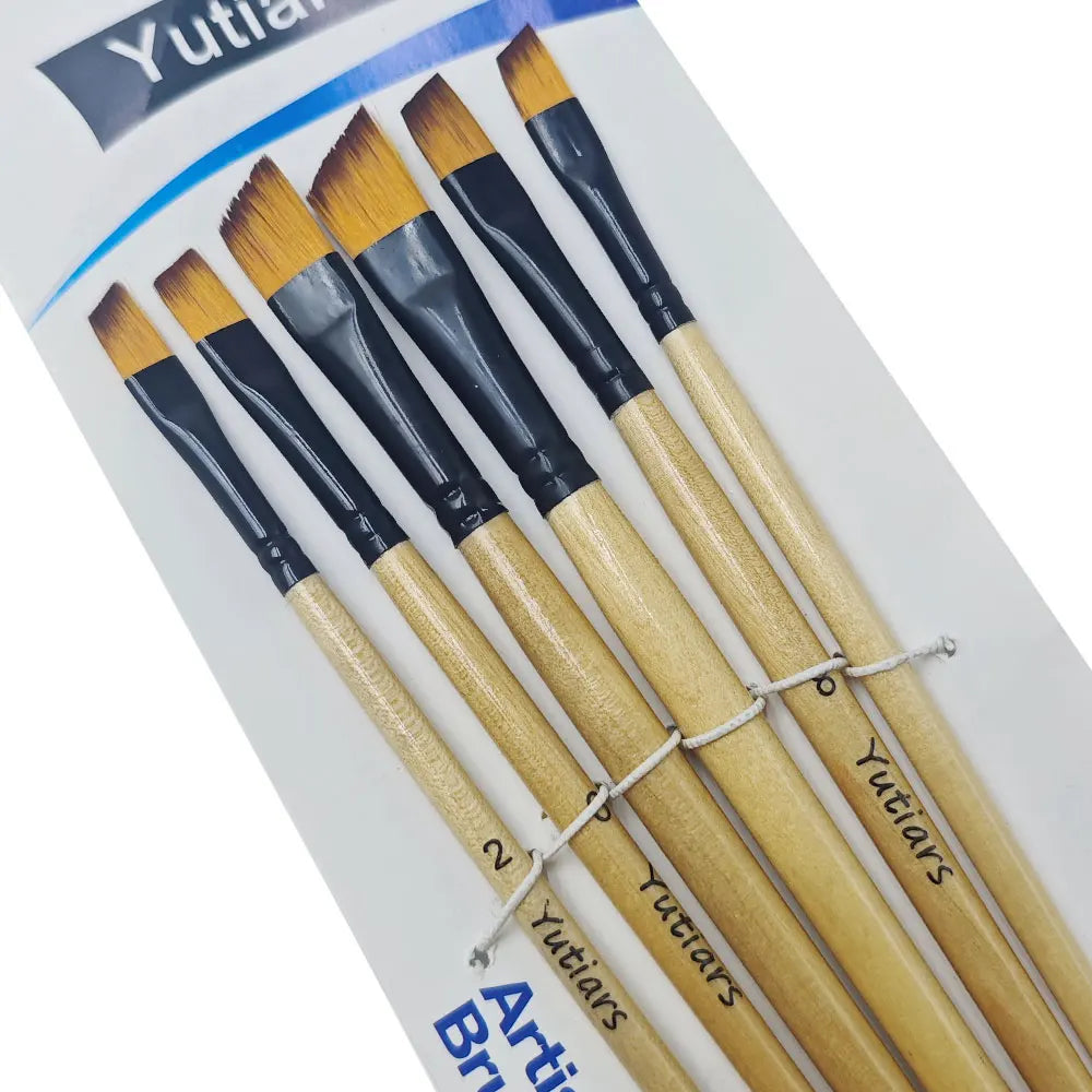 Professional Artist Paint Brush Set - 6 PCS,