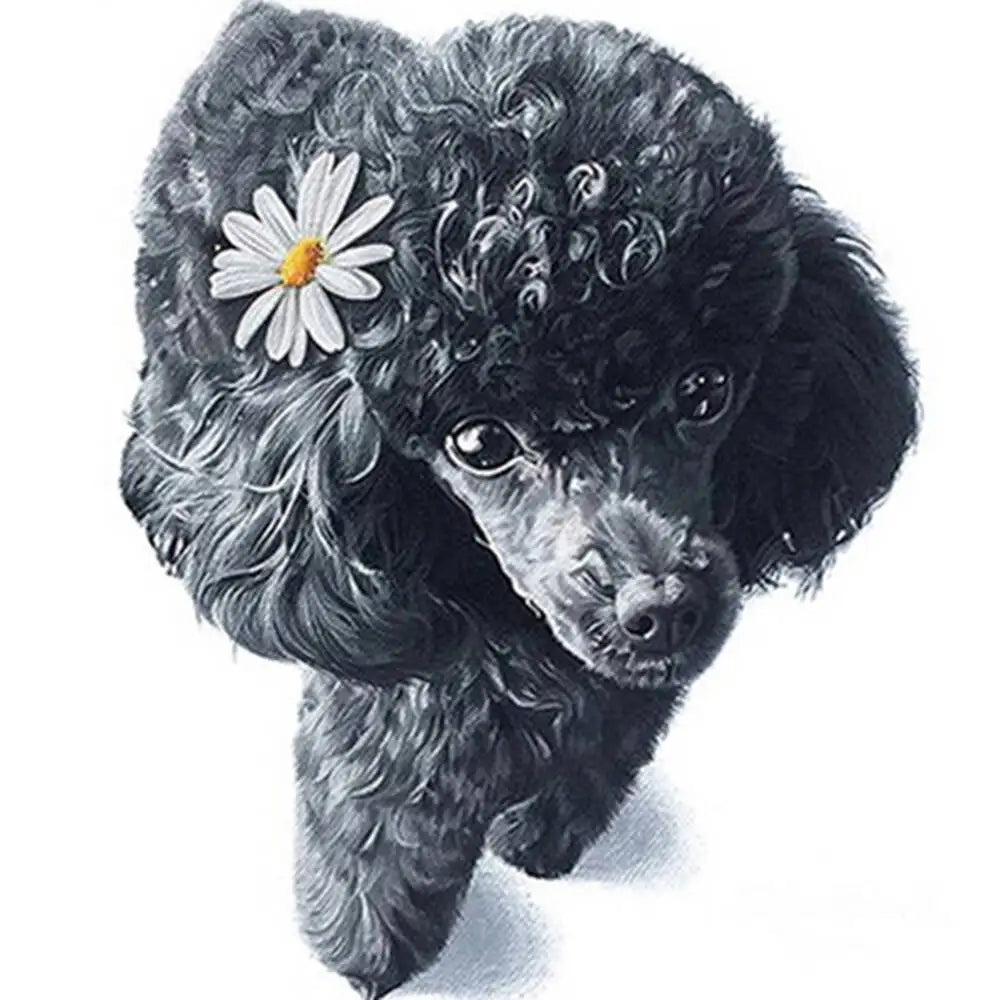 Oil Painting Puppy Paint By Number For Kids Picture Artcraft On Canvas