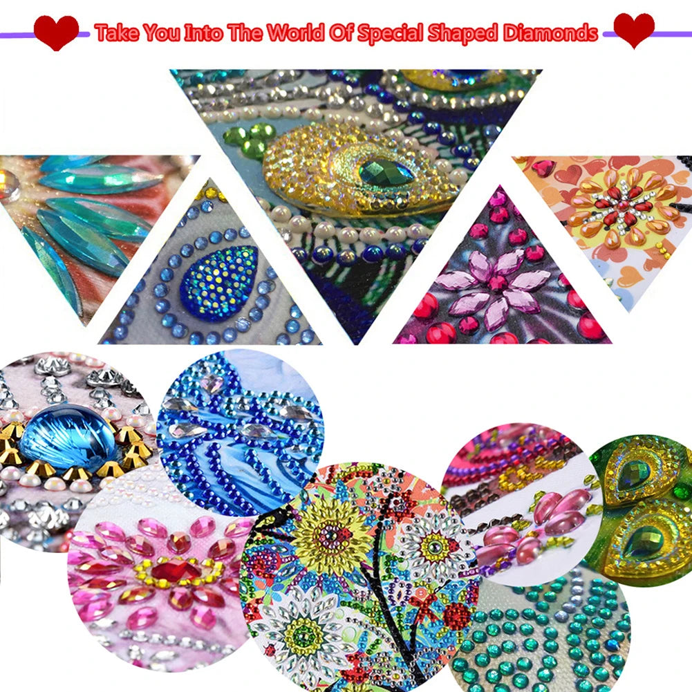 Acrylic 2D/Flat DIY Special Shape Hanging Diamond Art Kits Rhinestone r
