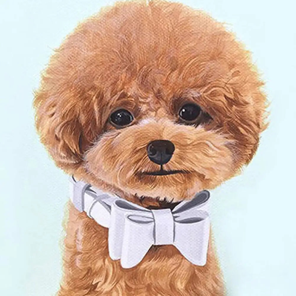 Oil Painting Puppy Paint By Number For Kids Picture Artcraft On Canvas