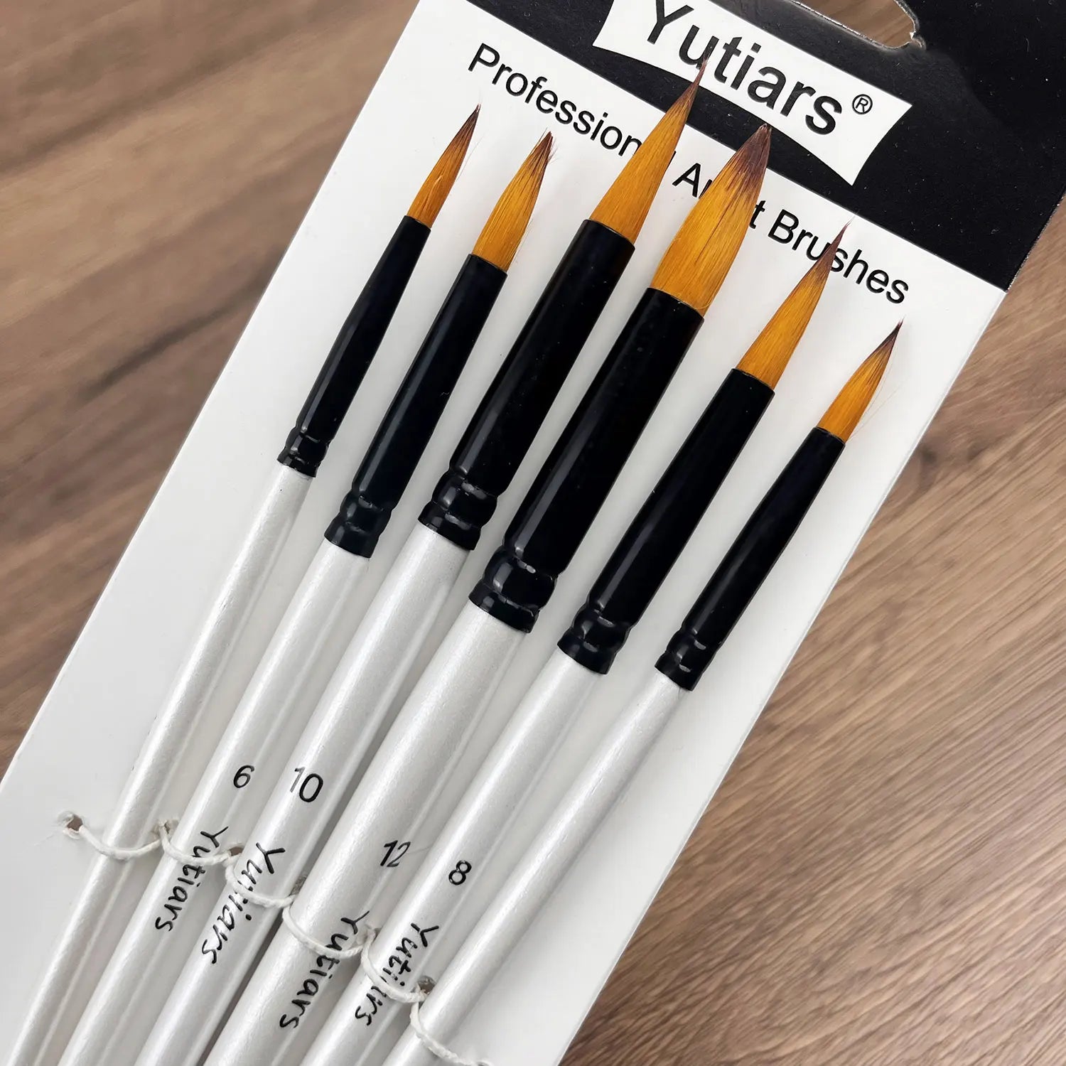 Professional Artist Paint Brush Set - 6 PCS,