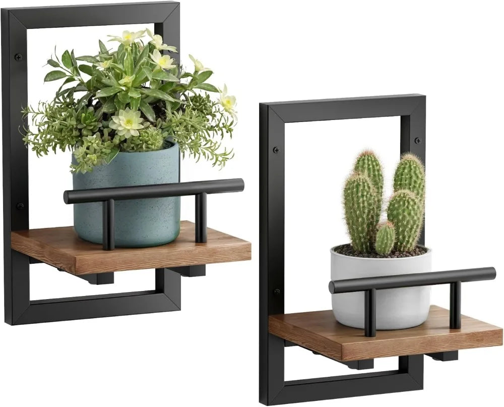 Floating Wall Shelves for Plants and Decor,