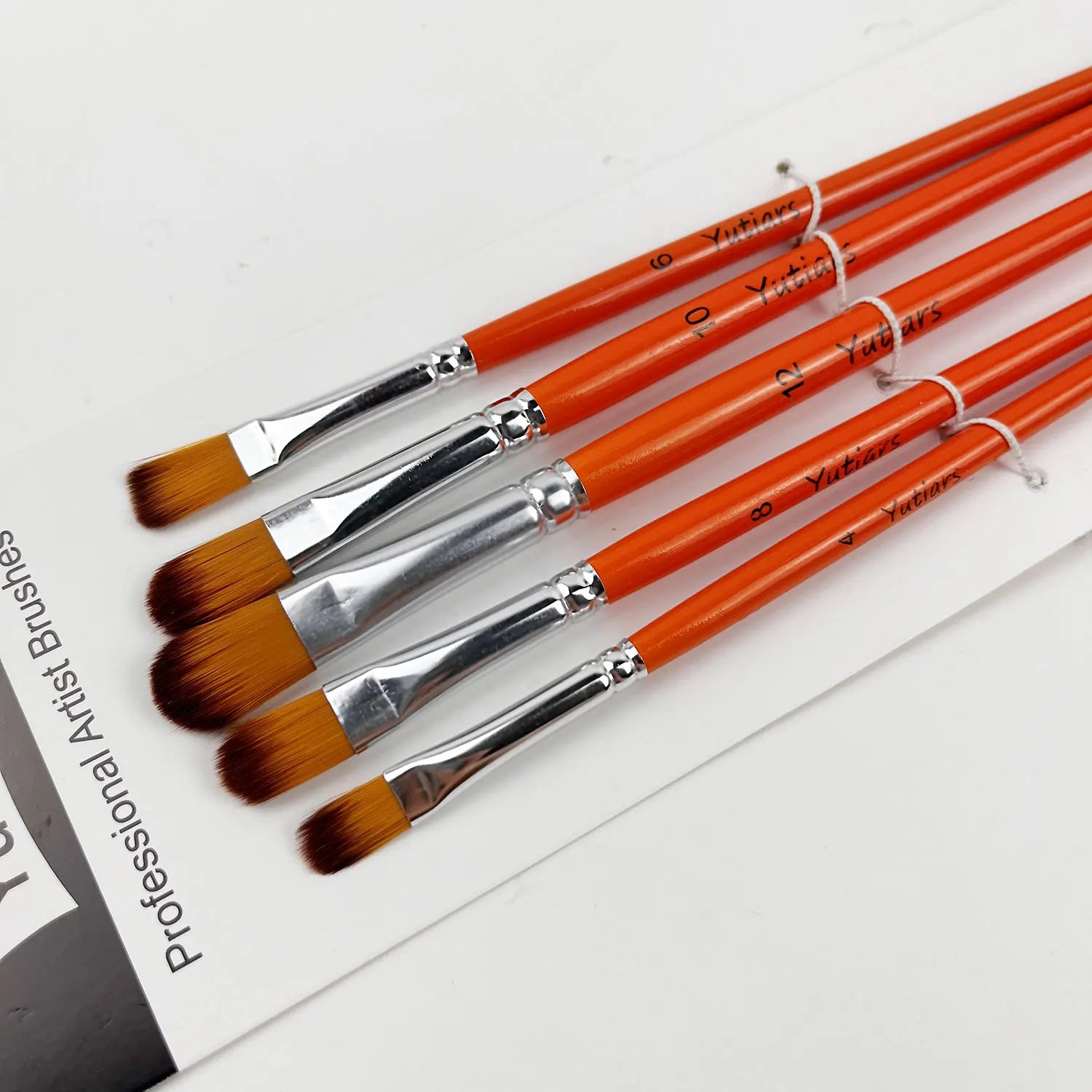 Professional Artist Paint Brush Set - 6 PCS,