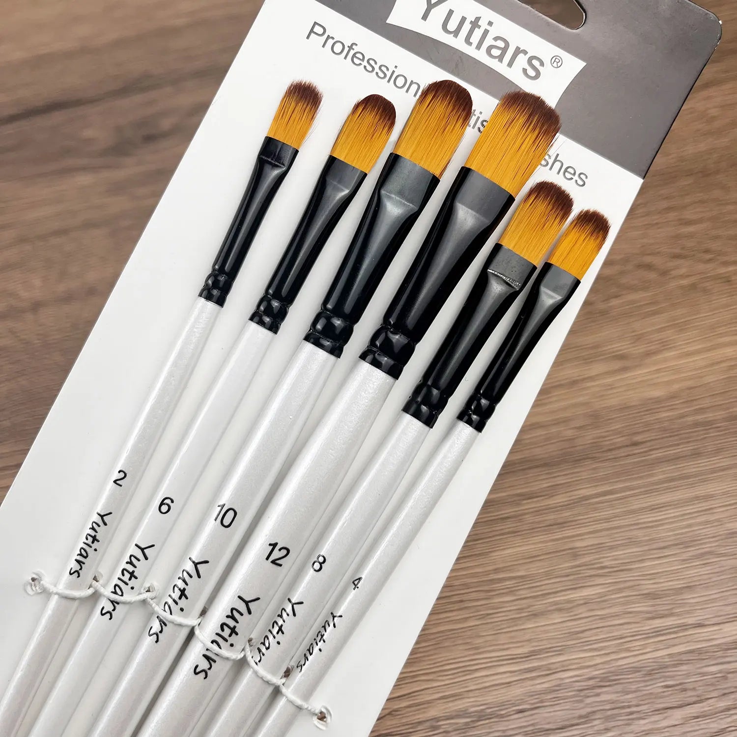 Professional Artist Paint Brush Set - 6 PCS,
