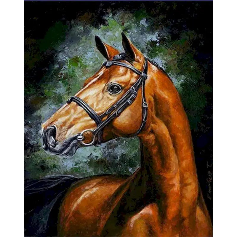Diy oil Painting By Numbers Horse  Acrylic Paint On Canvas
