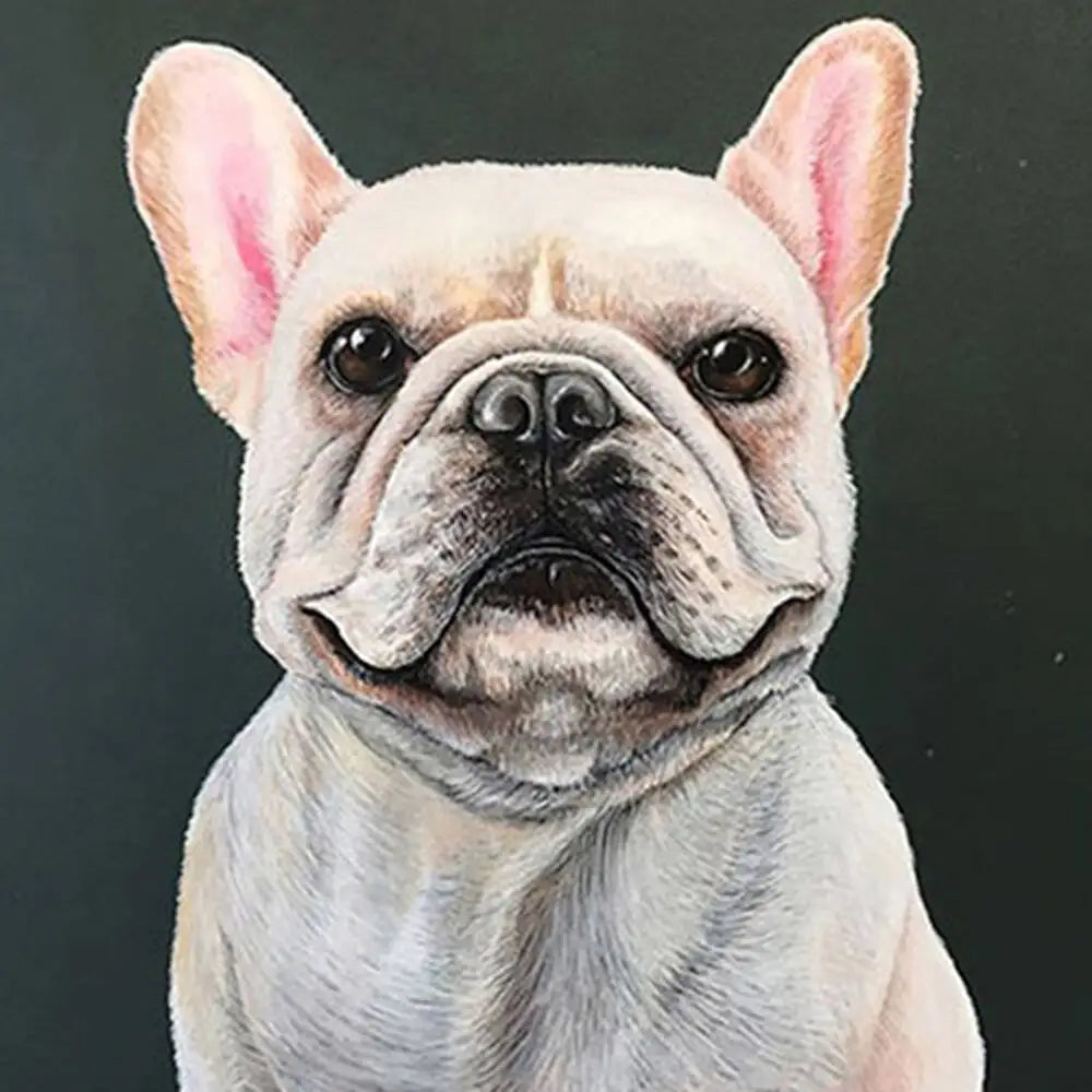 Oil Painting Puppy Paint By Number For Kids Picture Artcraft On Canvas